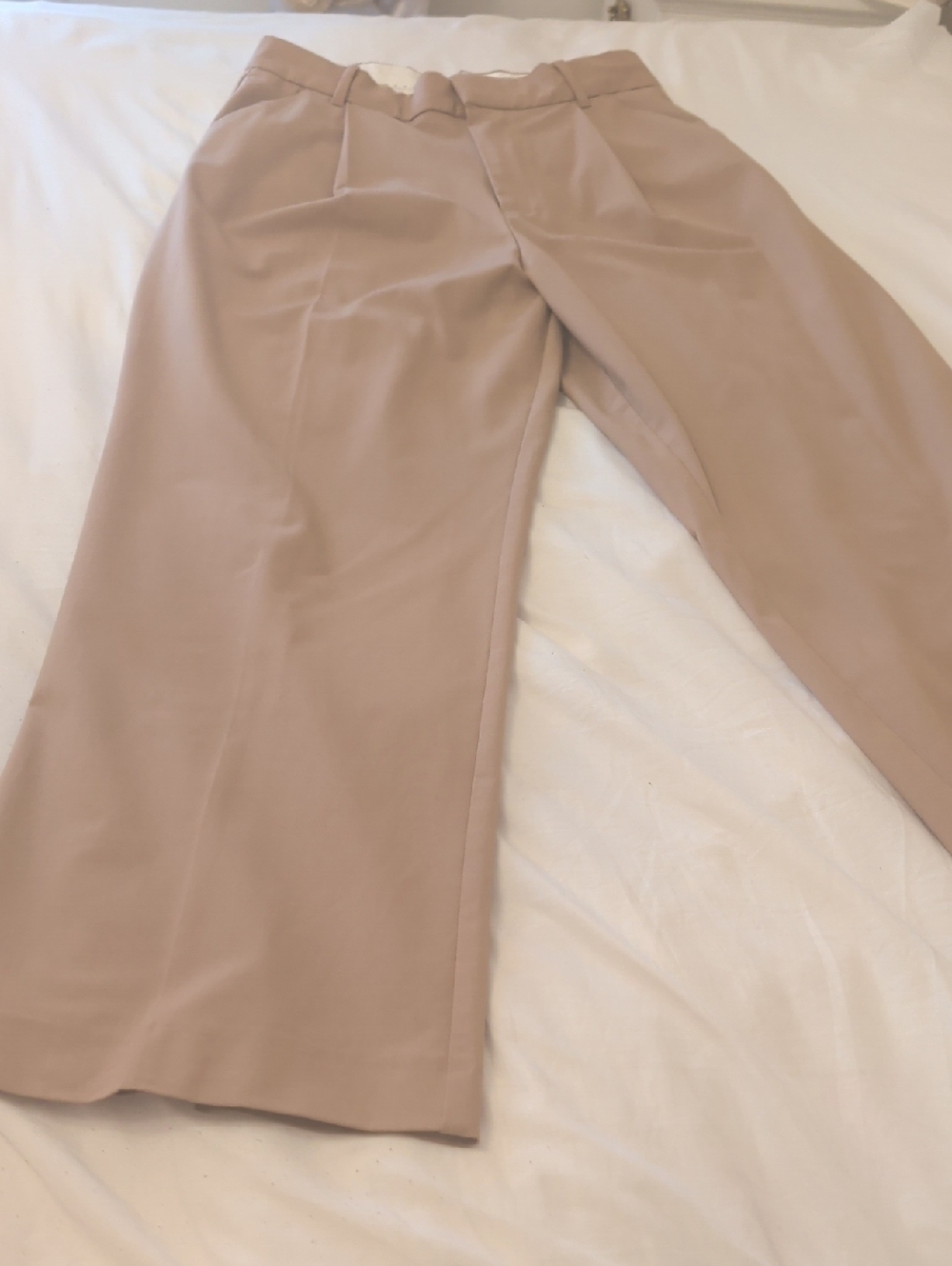 Zara Taupe Wide-Leg Trousers